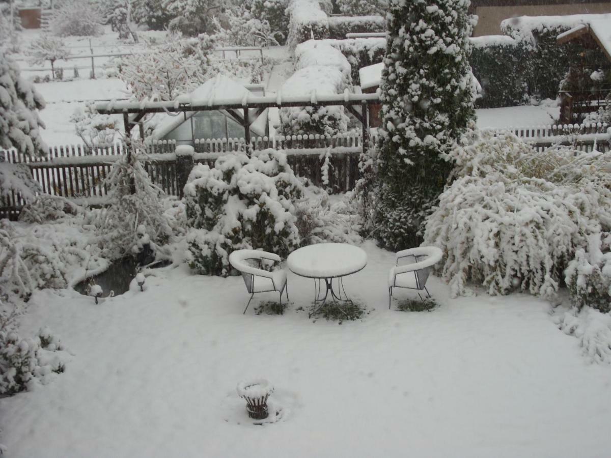 Frenkel Freital